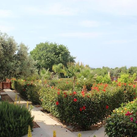 Kavalla Forest Villas Paphos Eksteriør billede
