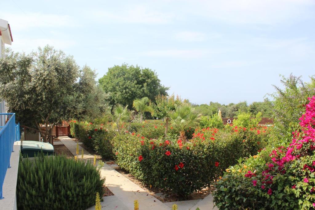 Kavalla Forest Villas Paphos Eksteriør billede